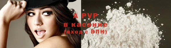 кокс Гусев