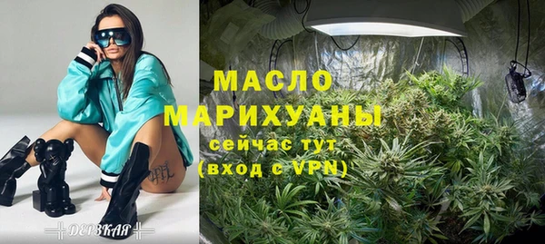 хмурый Гусь-Хрустальный