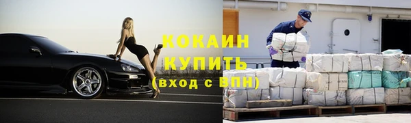 кокс Гусев