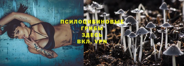 ГАЛЛЮЦИНОГЕННЫЕ ГРИБЫ Гусиноозёрск