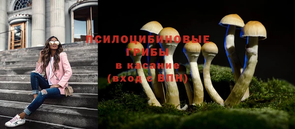 бутират Горняк