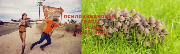 MDMA Горно-Алтайск